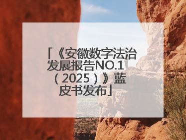 《安徽数字法治发展报告NO.1（2025）》蓝皮书发布