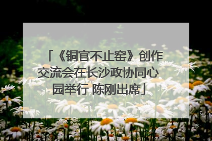 《铜官不止窑》创作交流会在长沙政协同心园举行 陈刚出席