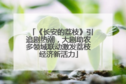 《长安的荔枝》引追剧热潮，大剧助农多领域联动激发荔枝经济新活力