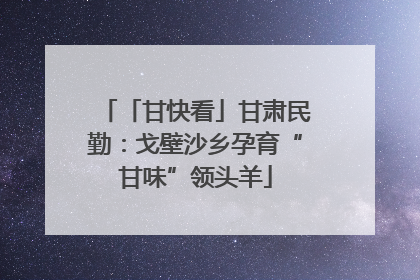 「甘快看」甘肃民勤：戈壁沙乡孕育“甘味”领头羊