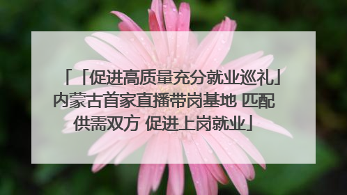 「促进高质量充分就业巡礼」内蒙古首家直播带岗基地 匹配供需双方 促进上岗就业