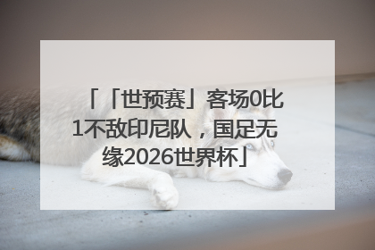 「世预赛」客场0比1不敌印尼队，国足无缘2026世界杯