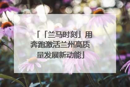 「兰马时刻」用奔跑激活兰州高质量发展新动能