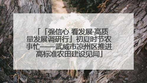 「强信心 看发展·高质量发展调研行」初夏时节农事忙——武威市凉州区推进高标准农田建设见闻