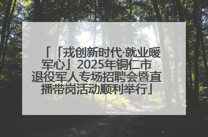 「戎创新时代·就业暖军心」2025年铜仁市退役军人专场招聘会暨直播带岗活动顺利举行