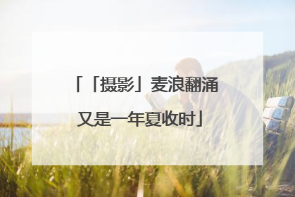 「摄影」麦浪翻涌 又是一年夏收时