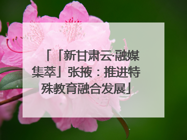 「新甘肃云·融媒集萃」张掖：推进特殊教育融合发展