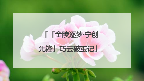 「金陵逐梦·宁创先锋」巧云破茧记