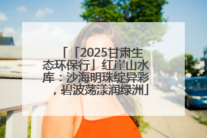 「2025甘肃生态环保行」红崖山水库：沙海明珠绽异彩，碧波荡漾润绿洲