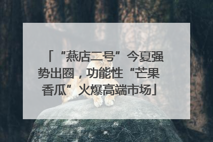 “燕店二号”今夏强势出圈，功能性“芒果香瓜”火爆高端市场