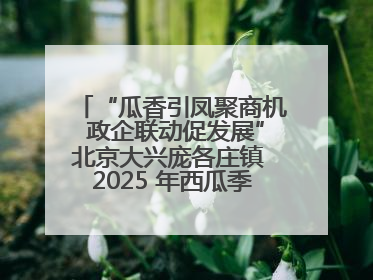 “瓜香引凤聚商机 政企联动促发展”北京大兴庞各庄镇 2025 年西瓜季政企联动产业推介活动圆满举行