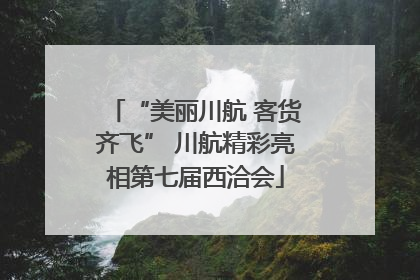 “美丽川航 客货齐飞” 川航精彩亮相第七届西洽会