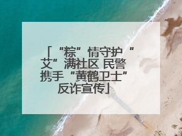 “粽”情守护“艾”满社区 民警携手“黄鹤卫士”反诈宣传