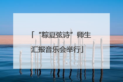 “粽夏弦诗”师生汇报音乐会举行