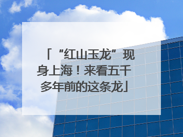 “红山玉龙”现身上海！来看五千多年前的这条龙