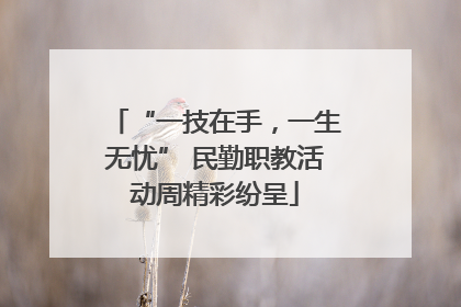 “一技在手，一生无忧” 民勤职教活动周精彩纷呈