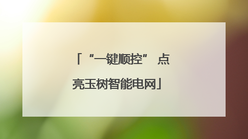 “一键顺控” 点亮玉树智能电网