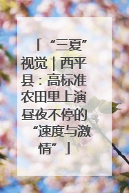 “三夏”视觉｜西平县：高标准农田里上演昼夜不停的“速度与激情”