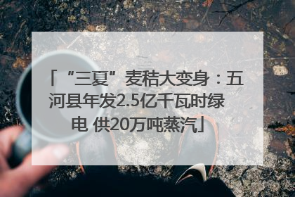 “三夏”麦秸大变身：五河县年发2.5亿千瓦时绿电 供20万吨蒸汽