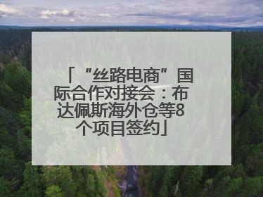 “丝路电商”国际合作对接会：布达佩斯海外仓等8个项目签约