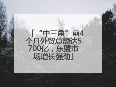 “中三角”前4个月外贸总额达5700亿，东盟市场增长强劲