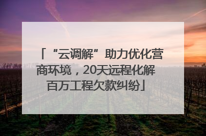 “云调解”助力优化营商环境，20天远程化解百万工程欠款纠纷