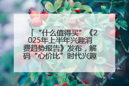 “什么值得买”《2025年上半年兴趣消费趋势报告》发布，解码“心价比”时代兴趣消费新范式