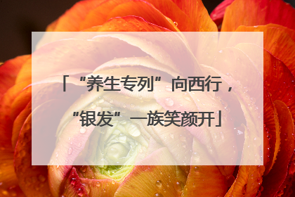 “养生专列”向西行，“银发”一族笑颜开