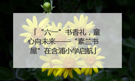 “六一”书香礼，童心向未来——“素兰书屋”在含浦小学启航