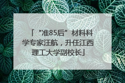 “准85后”材料科学专家汪航，升任江西理工大学副校长