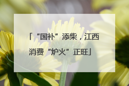 “国补”添柴，江西消费“炉火”正旺