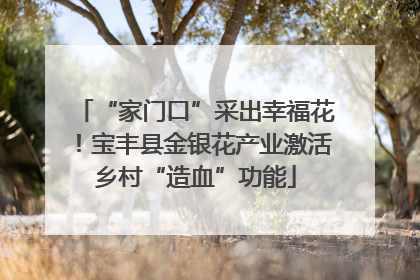 “家门口”采出幸福花！宝丰县金银花产业激活乡村“造血”功能