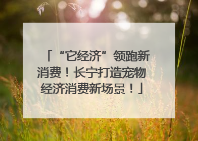 “它经济”领跑新消费！长宁打造宠物经济消费新场景！