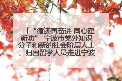 “循迹再奋进 同心建新功” 宁波市党外知识分子和新的社会阶层人士、归国留学人员走进宁波舟山港穿山港区