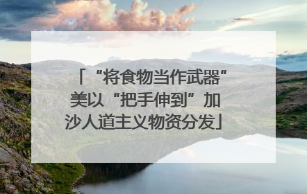 “将食物当作武器” 美以“把手伸到”加沙人道主义物资分发