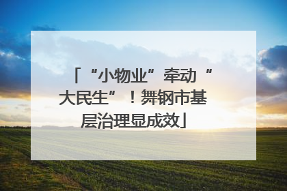 “小物业”牵动“大民生”！舞钢市基层治理显成效