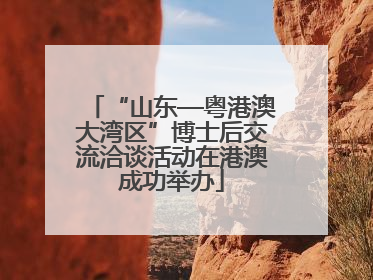 “山东—粤港澳大湾区”博士后交流洽谈活动在港澳成功举办