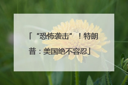 “恐怖袭击”！特朗普：美国绝不容忍