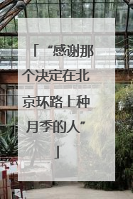 “感谢那个决定在北京环路上种月季的人”