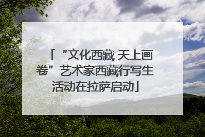 “文化西藏 天上画卷”艺术家西藏行写生活动在拉萨启动