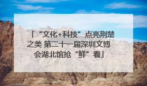 “文化+科技”点亮荆楚之美 第二十一届深圳文博会湖北馆抢“鲜”看