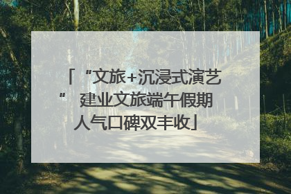 “文旅+沉浸式演艺” 建业文旅端午假期人气口碑双丰收