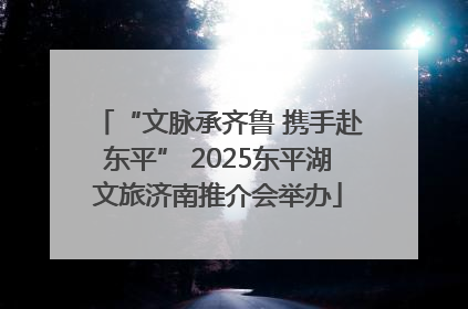 “文脉承齐鲁 携手赴东平” 2025东平湖文旅济南推介会举办