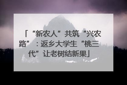 “新农人”共筑“兴农路”：返乡大学生“桃三代”让老树结新果