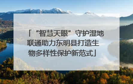 “智慧天眼”守护湿地 联通助力东明县打造生物多样性保护新范式