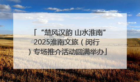 “楚风汉韵 山水淮南” 2025淮南文旅（闵行）专场推介活动圆满举办
