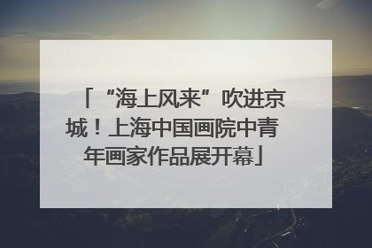 “海上风来”吹进京城！上海中国画院中青年画家作品展开幕