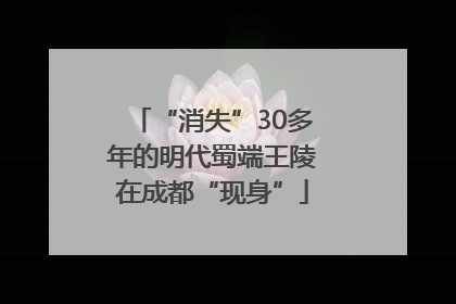 “消失”30多年的明代蜀端王陵在成都“现身”