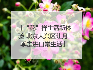 “花”样生活新体验 北京大兴区让月季走进日常生活