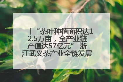 “茶叶种植面积达12.5万亩，全产业链产值达57亿元” 浙江武义茶产业全链发展“加速度”